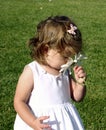 Toddler girl smelling flower