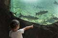 Toddler girl visiting a river aquarium