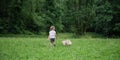 Toddler girl walking in a meadow with her dog Royalty Free Stock Photo