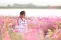 A toddler girl wearing a Japanese kimono in the middle of cosmos flower field. Royalty Free Stock Photo