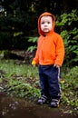 Toddler Holding a Dandelion Flower