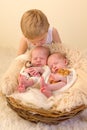 Toddler kissing newborn twin sisters