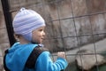 Toddler looking through fence Royalty Free Stock Photo