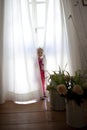 Toddler peeking out from behind curtains Royalty Free Stock Photo