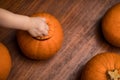 Toddler Picking Up a Pumpkin Top