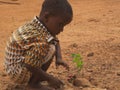 Toddler planting sapling on street in Ouagadougou, , Burkina Faso