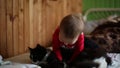 Toddler is playing with a cat on the bed. The Infant torments the animal that allows it to be done.
