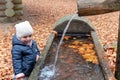 Toddler playing with water fountain at the Forrest Playground