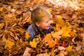 Toddler plays in the leaves smiling Royalty Free Stock Photo