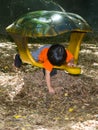 Toddler During Playtime At Park Royalty Free Stock Photo