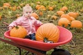 Toddler at pumpkin farm Royalty Free Stock Photo