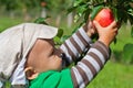 Toddler reaching for an apple