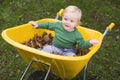 Toddler riding in wheelbarrow