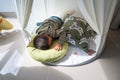 Toddler sleeping in a kids tent at home Royalty Free Stock Photo