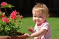 Toddler smiling near geraniums in a pot