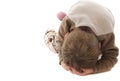 Toddler temper tantrum Royalty Free Stock Photo