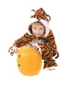 Toddler in Tiger Costume over pumpkin