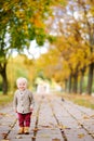 Toddler walking in the park at the autumn Royalty Free Stock Photo