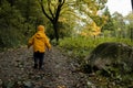 Toddler walking on a path in a park forest, autumn background Royalty Free Stock Photo