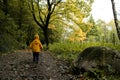 Toddler walking on a path in a park forest, autumn background Royalty Free Stock Photo