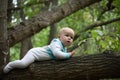 Toddler walking on a tree