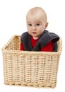 Toddler in wickerbasket Royalty Free Stock Photo