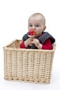 Toddler in wickerbasket Royalty Free Stock Photo