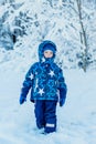 Toddler winter portrait of a boy standing Royalty Free Stock Photo