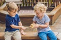 Toddlers girl and boy playing with the ducklings in the petting