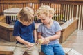 Toddlers girl and boy playing with the ducklings in the petting zoo