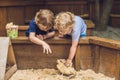 Toddlers girl and boy playing with the ducklings in the petting