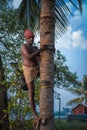 Toddy man preparing to climb a coconut tree