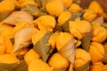 Toddy palm cake in sugar palm leaves.