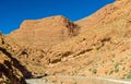 Todgha Gorge, a canyon in the Atlas Mountains. Morocco Royalty Free Stock Photo