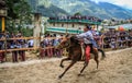 Flat out horserider, todos santos horse race, Todos Santos CuchumatÃÂ¡n, Huehuetenango, Guatemala Royalty Free Stock Photo