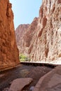 Todra Gorge, a canyon in the High Atlas Mountains in Morocco, near the town of Tinerhir. Royalty Free Stock Photo