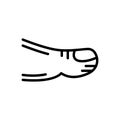 Black line icon for Toe, anatomy and ankle