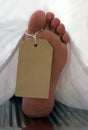 Toe tag Royalty Free Stock Photo