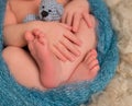 Toes and fingers of a newborn, closeup