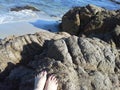 Toes on rock, rocky beach Royalty Free Stock Photo