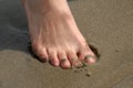 Toes in Sand Royalty Free Stock Photo