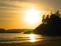 Tofino Sunset Royalty Free Stock Photo