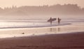 Tofino surfers at sunset Royalty Free Stock Photo