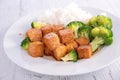 Tofu and broccolis Royalty Free Stock Photo