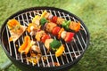 Tofu kebabs with colorful fresh vegetables Royalty Free Stock Photo