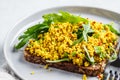 Tofu scramble toast with greens on rye bread. Healthy vegan food concept Royalty Free Stock Photo