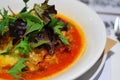 Tofu and spinach lasagna pasta with salad Royalty Free Stock Photo