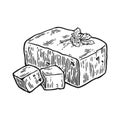 Tofu. Vector black vintage engraved illustration isolated on white background.