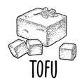 Tofu. Vector black vintage engraved illustration isolated on white background.