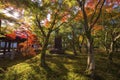 Tofuku-ji temple fall garden in Kyoto Royalty Free Stock Photo